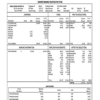 Detailed Guide about Amazon Pay Stub Copy generator for any first time user on this website.
