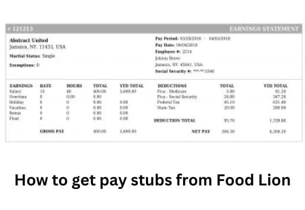 How to Get a Check Stub From Food Lion