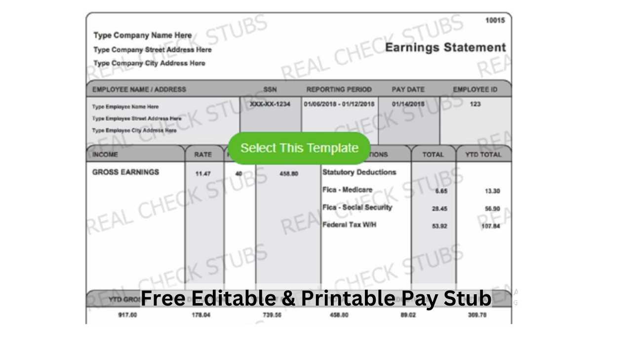 Editable Pay Stub Templates | Fill in Blanks | Download