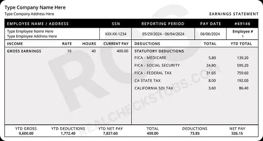 Classic Paystub